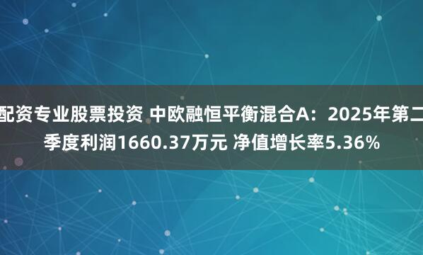 配资专业股票投资 中欧融恒平衡混合A：2025年第二季度利润1660.37万元 净值增长率5.36%