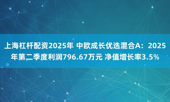 上海杠杆配资2025年 中欧成长优选混合A：2025年第二季度利润796.67万元 净值增长率3.5%